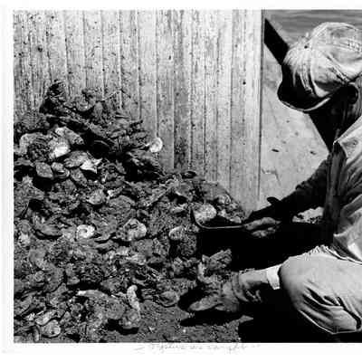 Blount Seafood unknown worker 25x20 black and white glossy