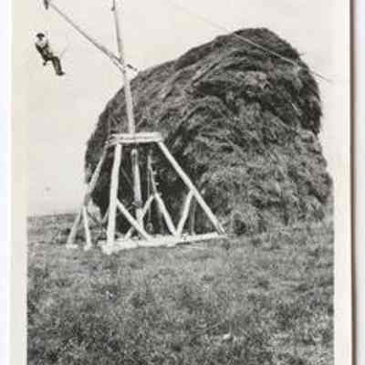 Print, Photographic