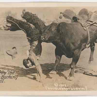 Postcard