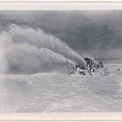 Print, Photographic