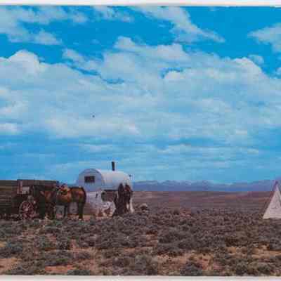 Postcard