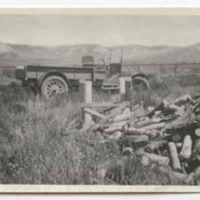 Print, Photographic