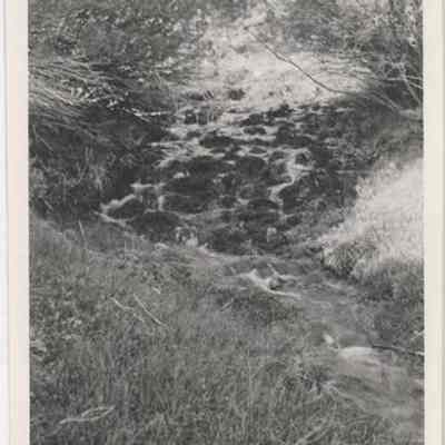 Print, Photographic
