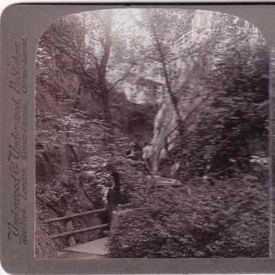 Stereograph
