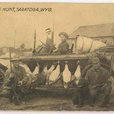 Postcard