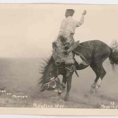 Postcard