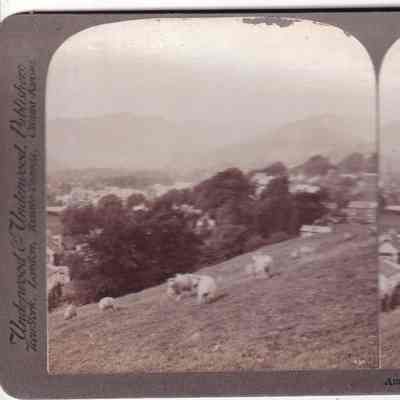 Stereograph