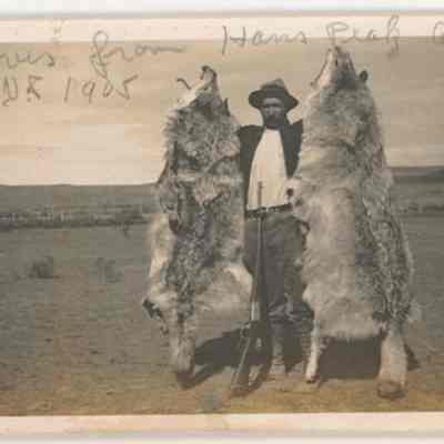 Print, Photographic