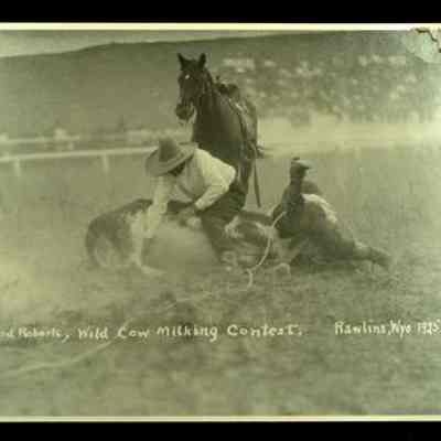 Print, Photographic