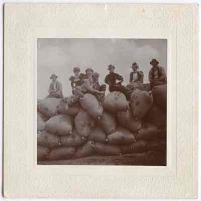 Print, Photographic