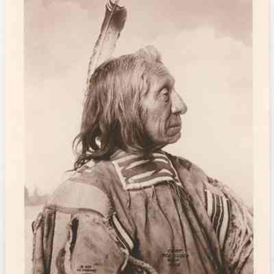 Print, Photographic
