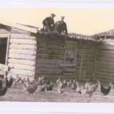 Print, Photographic
