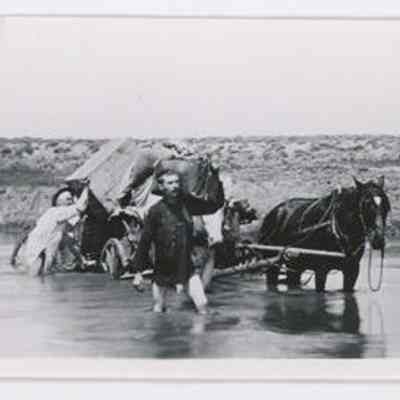 Print, Photographic