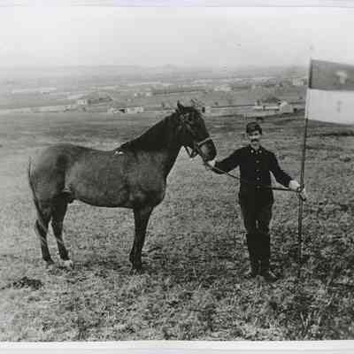 Print, Photographic