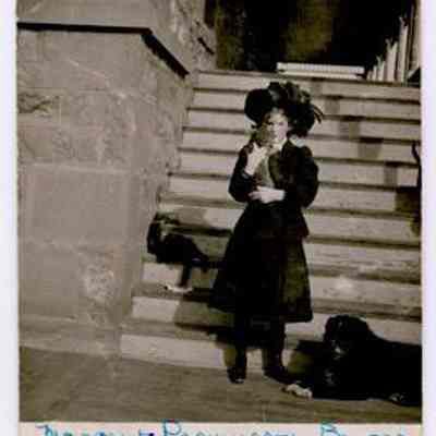 Postcard