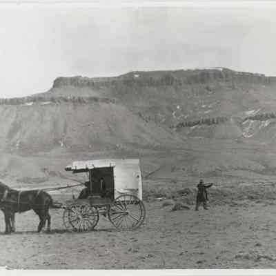 Print, Photographic