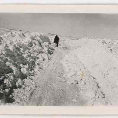 Print, Photographic