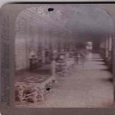 Stereograph