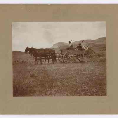 Print, Photographic