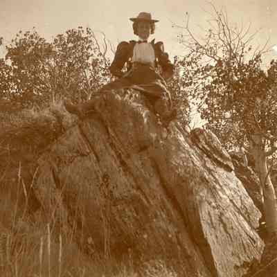 Print, Photographic