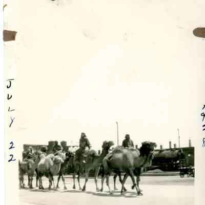 Photograph