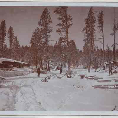 Print, Photographic