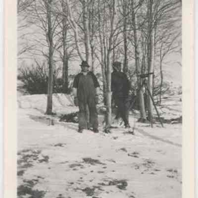Print, Photographic