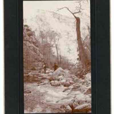 Print, Photographic