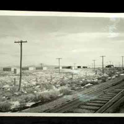 Print, Photographic
