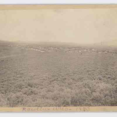 Print, Photographic