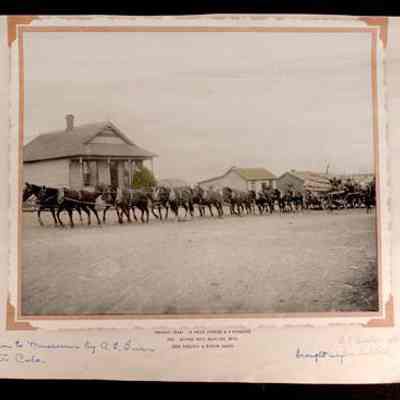 Print, Photographic
