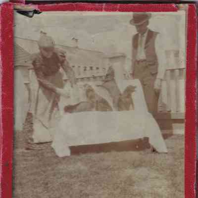 Photograph