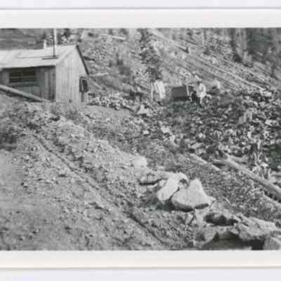 Print, Photographic