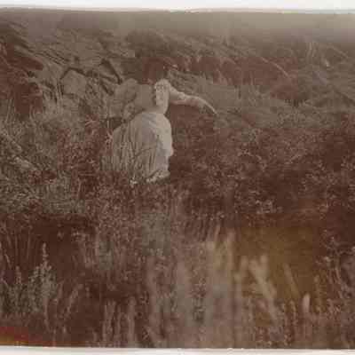 Print, Photographic