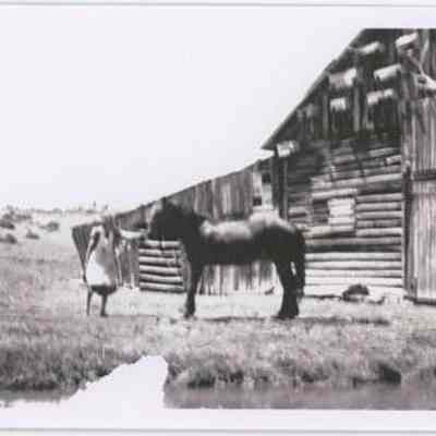 Print, Photographic