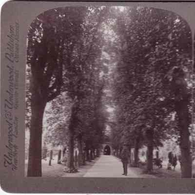 Stereograph