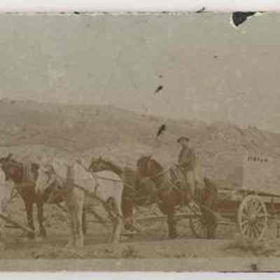 Print, Photographic