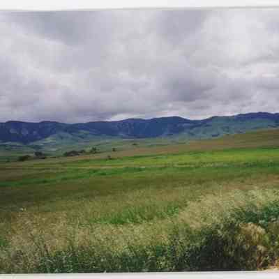 Print, Photographic