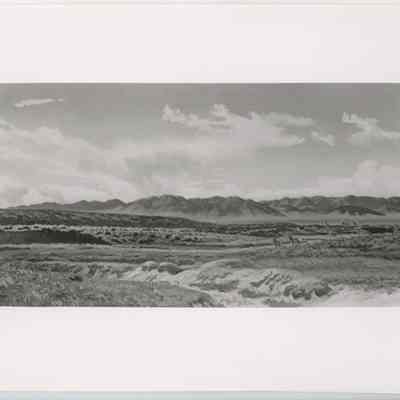 Print, Photographic