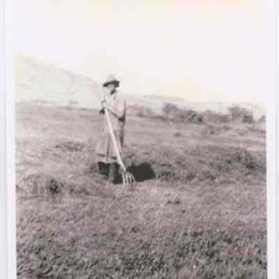 Print, Photographic