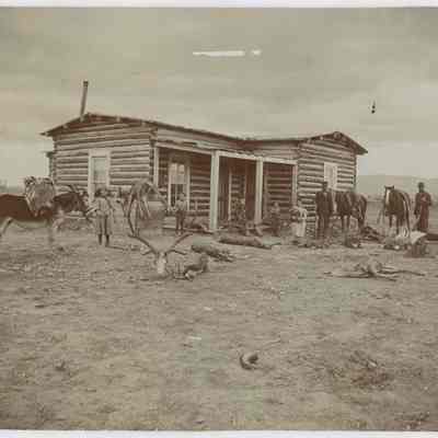 Print, Photographic