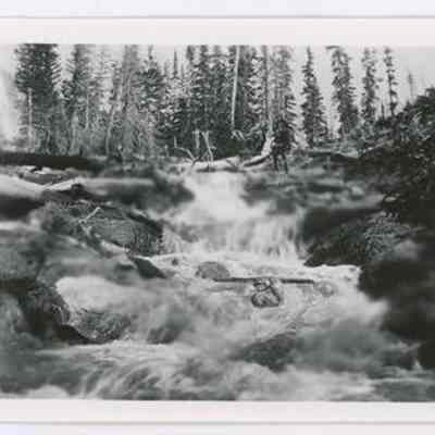 Print, Photographic