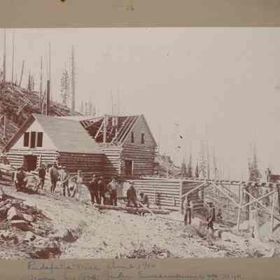 Print, Photographic