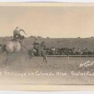 Postcard
