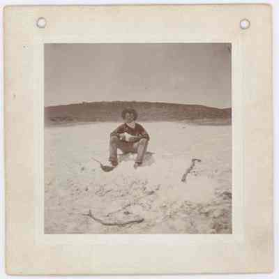 Print, Photographic