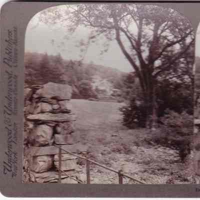 Stereograph