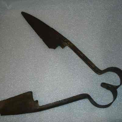 Shears, Sheep