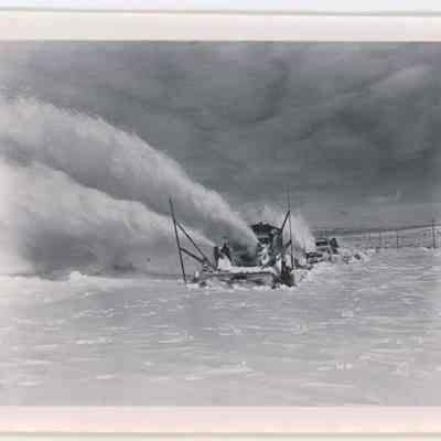 Print, Photographic
