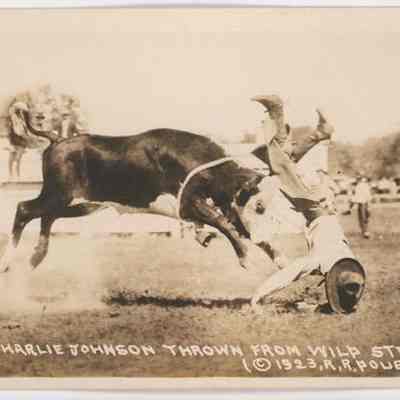 Postcard