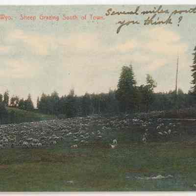 Postcard